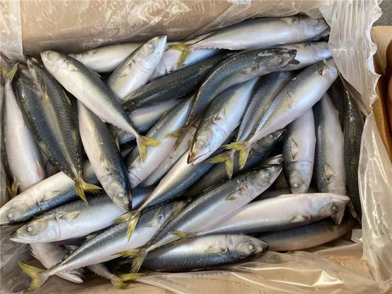 product-1-1 product-1-1