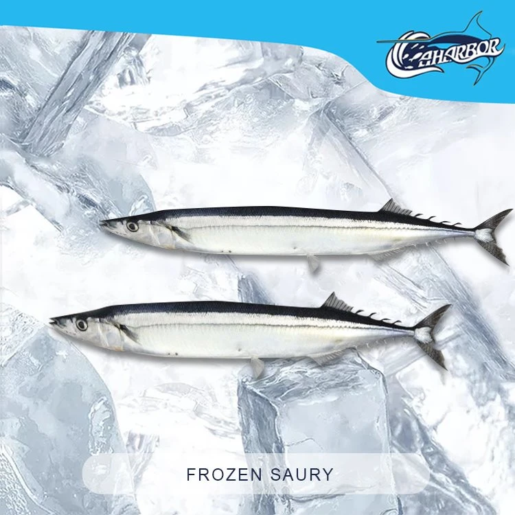 Mrazené Pacific Saury