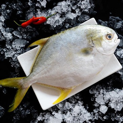 aký druh pomfretu poznáš?