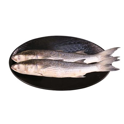 Mrazený tuk Grey Mullet