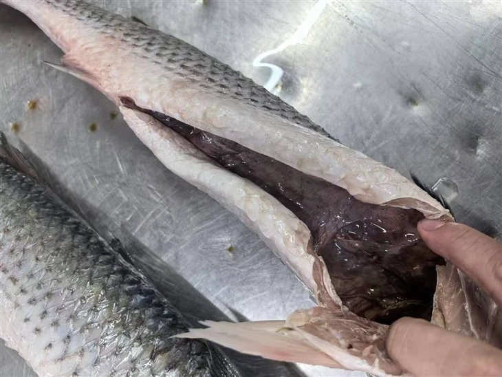 Frozen Grey Mullet Gutted Whole Round