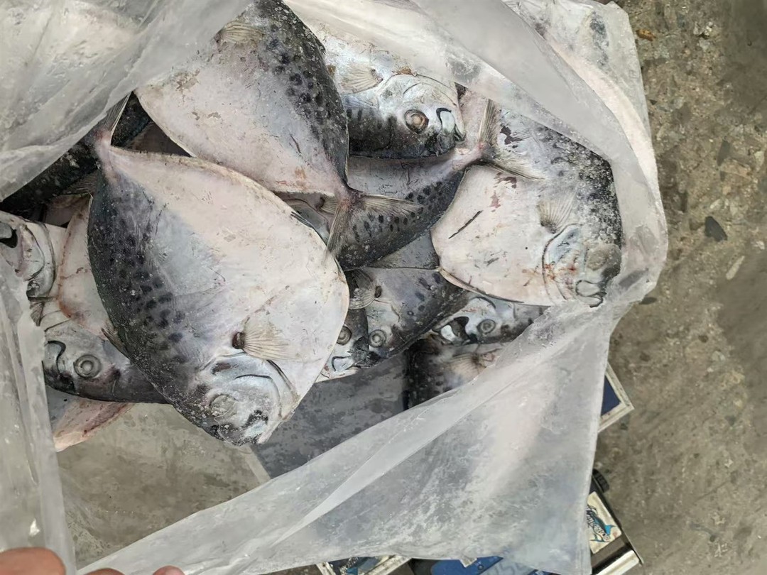 e880023a5e89ee50baaf454fbc1c347 e880023a5e89ee50baaf454fbc1c347