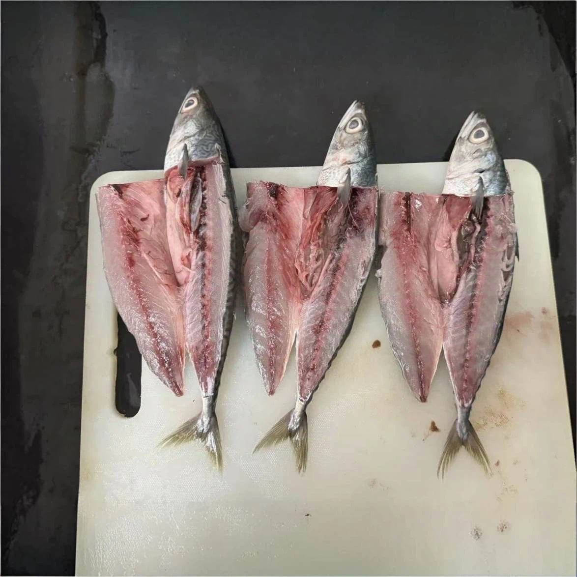 product-1174-1174 product-1174-1174